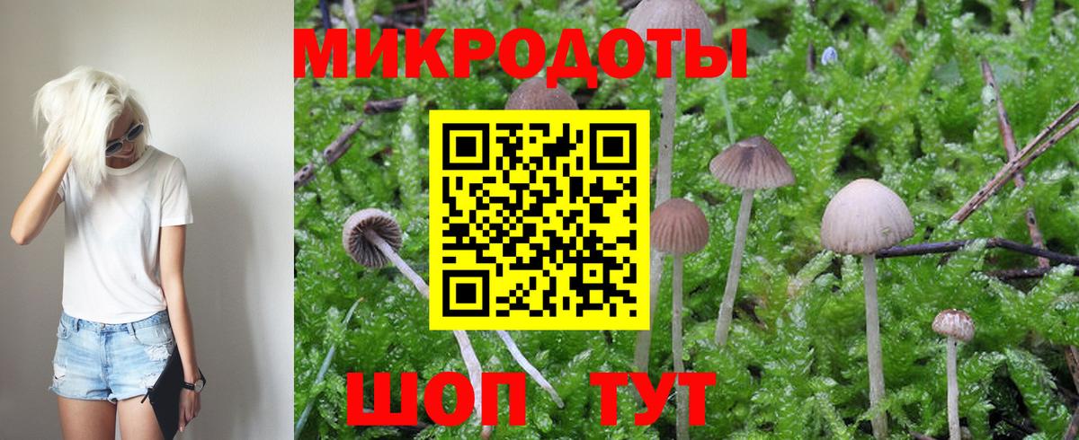 Галлюциногенные грибы GOLDEN TEACHER Новочеркасск