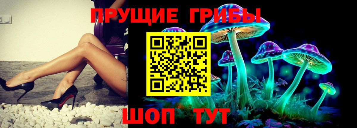 Галлюциногенные грибы Psilocybe  Галлюциногенные грибы Magic Shrooms  Новочеркасск  Вход с VPN 